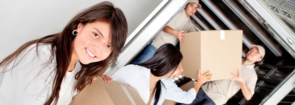 Professional Removalists Caulfield Junction